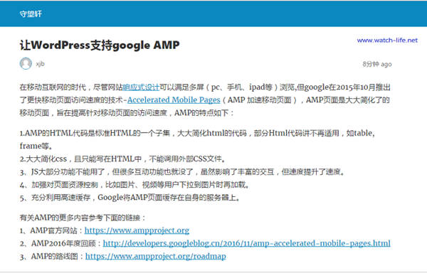 WordPress文章页秒变谷歌AMP加速移动页面插件AMP Plugins 第4张